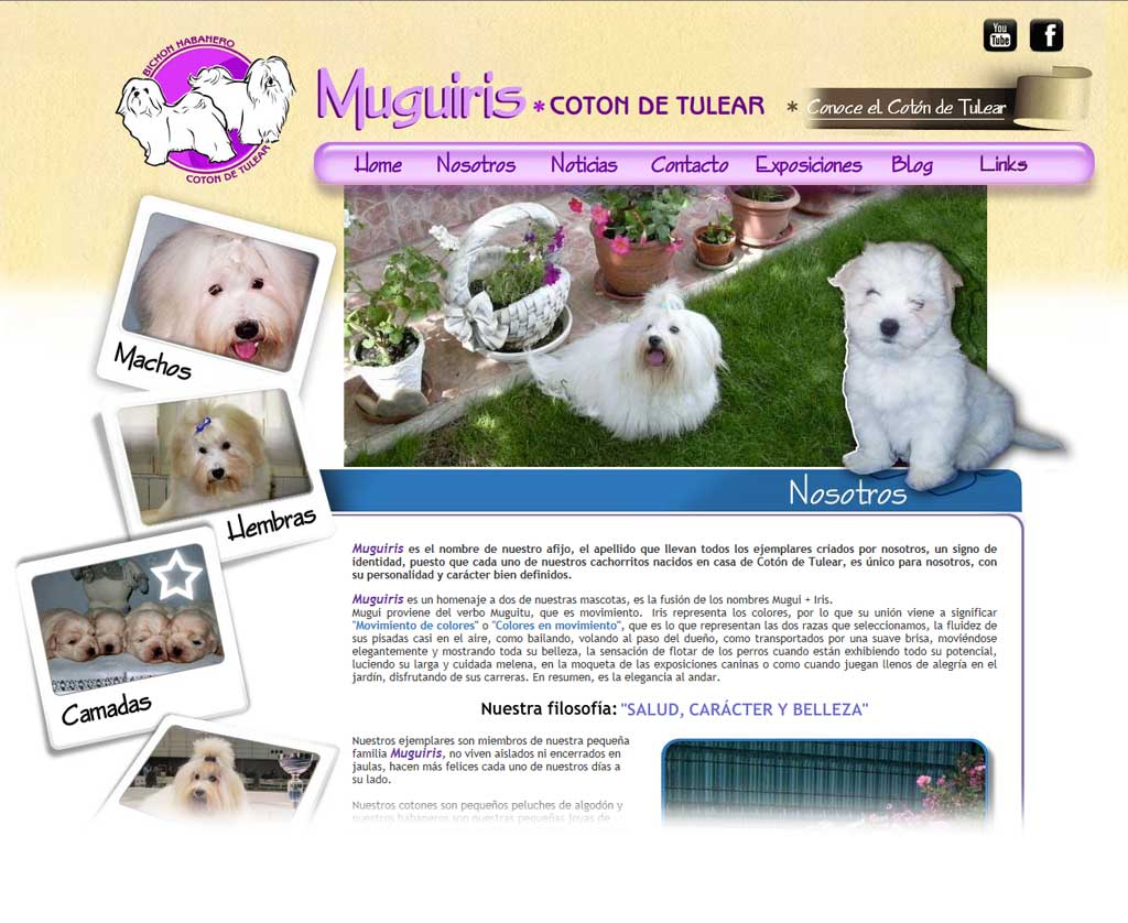mugiris web