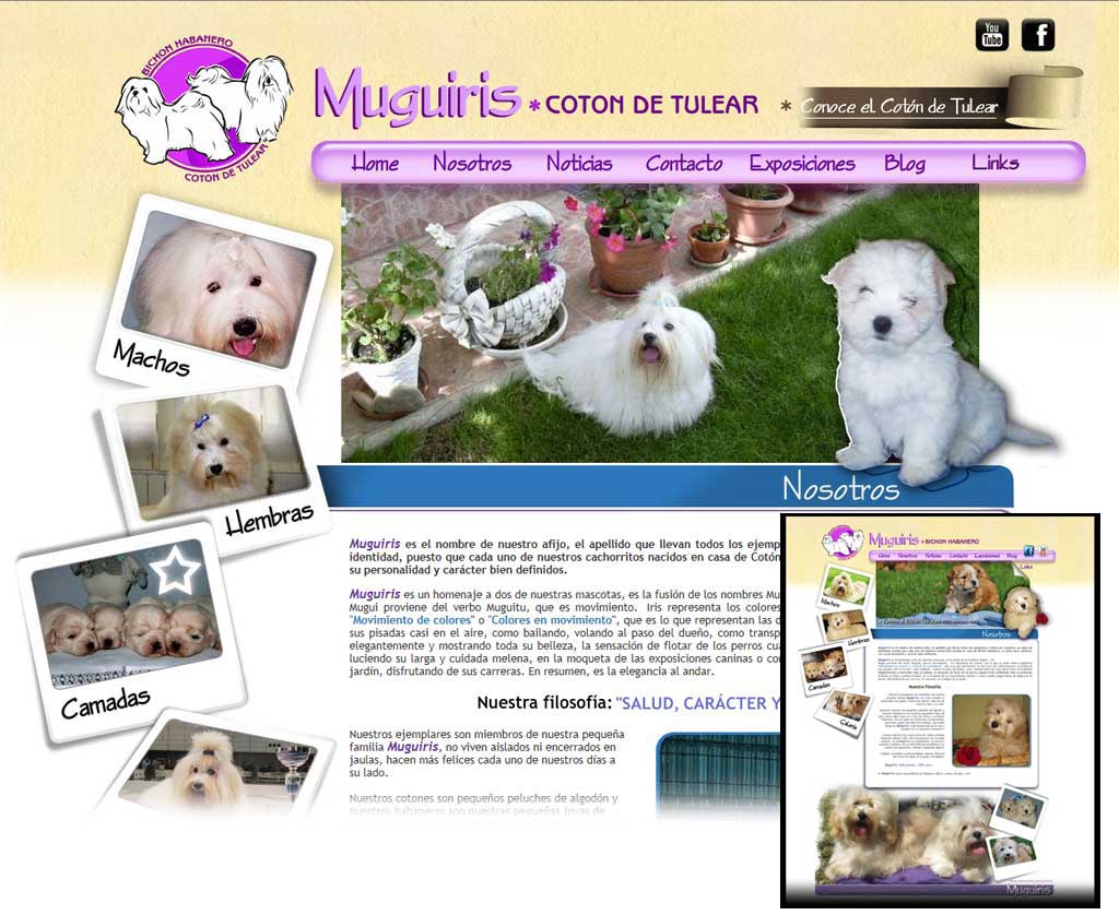 mugiris web